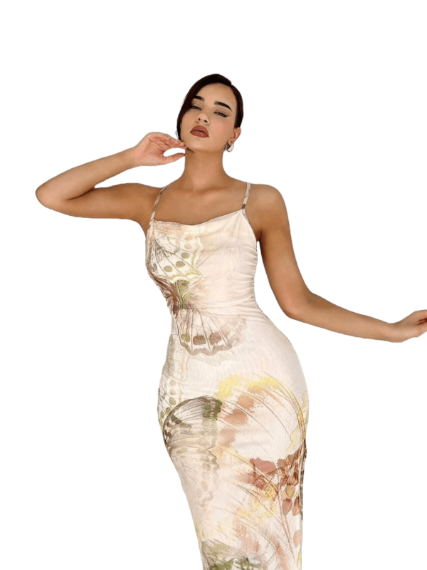 دريس صيفي (3)