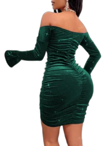 فساتين سواريه شتوي زيتي (2)